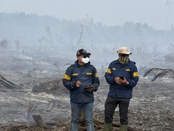 28 Tersangka Karhutla di Riau Sepanjang 2026, Pelalawan dan Inhil Terbanyak