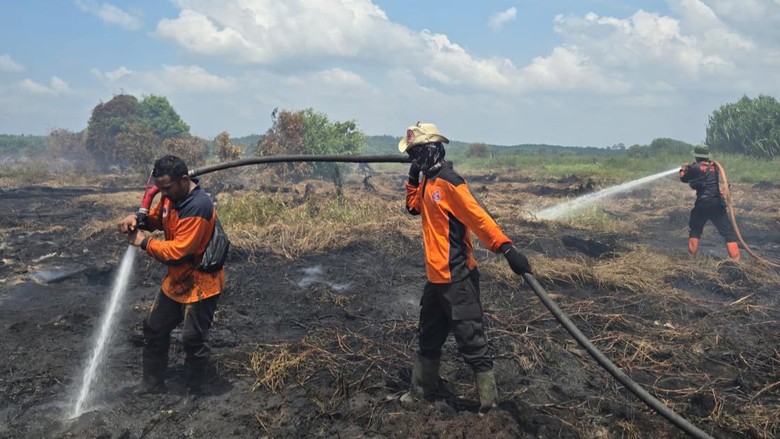Karhutla di Riau Capai 15 Ribu Ha, Inhu-Bengkalis Jadi Perhatian Serius