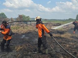 Karhutla di Riau Capai 15 Ribu Ha, Inhu-Bengkalis Jadi Perhatian Serius