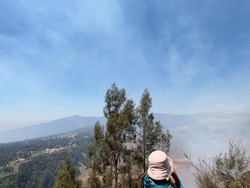 Api Merambat ke Bukit Kedasih, Bromo Sky Bridge Ditutup