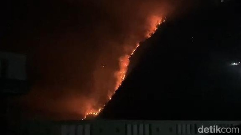 Kebakaran di Bromo Meluas, 942 Hektare Lahan Hangus Terbakar
