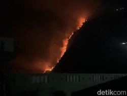 Kebakaran di Bromo Meluas, 942 Hektare Lahan Hangus Terbakar