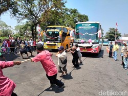 Adu Kuat Tarik Bus Warnai Lomba Agustusan di Terminal Tidar