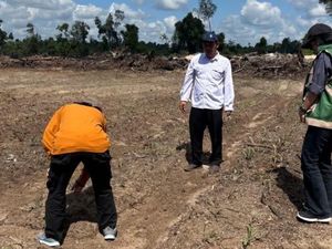 Lahan Kering Akibat El Nino, Petani Jagung Kobar Gagal Panen-Rugi Ratusan Juta