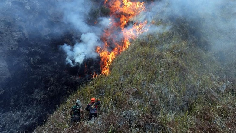 Kenapa Karhutla Bromo Sulit Dipadamkan? Ini Penjelasan Pakar IPB