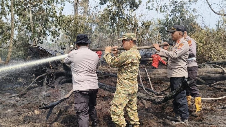 Tim Gabungan Padamkan 1,5 Hektare Lahan Karhutla di Pelalawan Riau