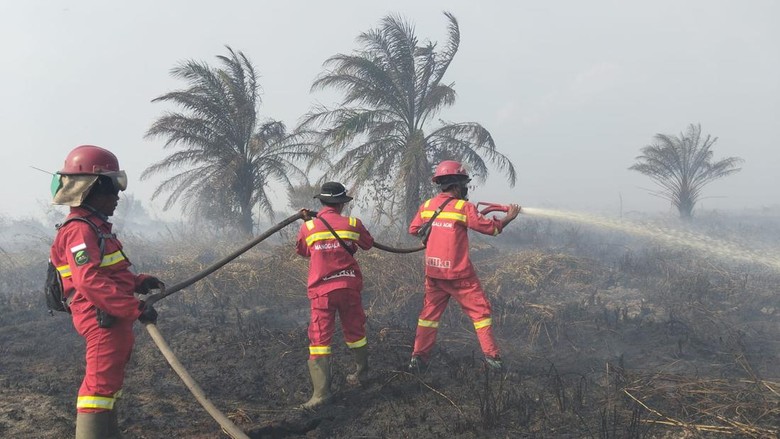 Kebakaran Lahan Gambut Kembali Terjadi di Muaro Jambi