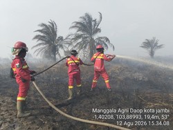 Kebakaran Lahan Gambut Kembali Terjadi di Muaro Jambi