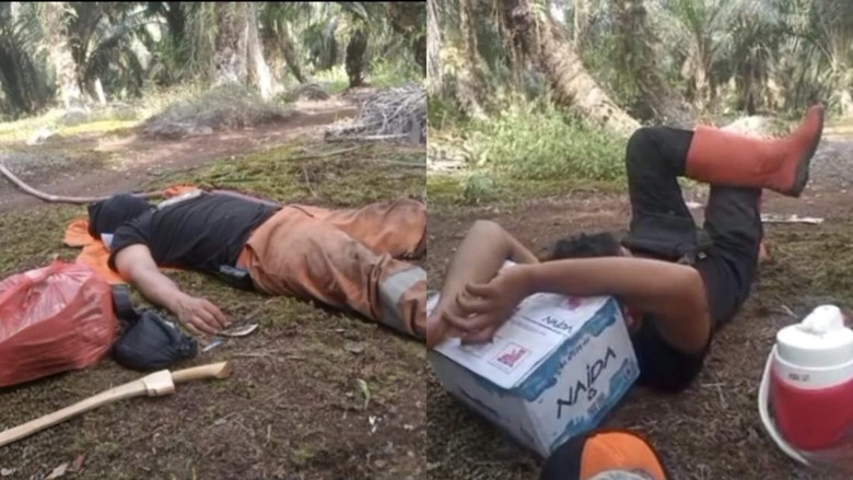 Perjuangan Petugas Jinakkan Karhutla di Kalteng, Sampai Tidur di Tanah