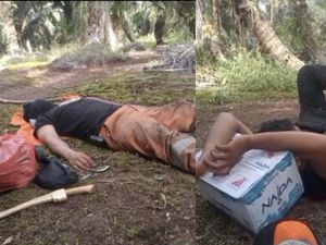 Perjuangan Petugas Jinakkan Karhutla di Kalteng, Sampai Tidur di Tanah