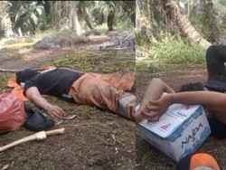 Perjuangan Petugas Jinakkan Karhutla di Kalteng, Sampai Tidur di Tanah