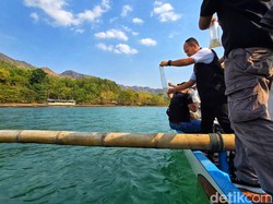 Gagal Diselundupkan,60 Ribu Benur Dilepasliarkan di Laut Sukabumi