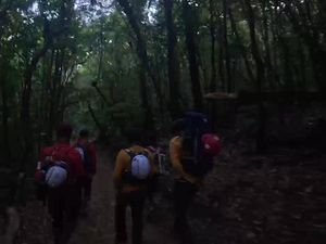 Kecewa Sikap BBTNGGP soal Kebakaran, Relawan Pilih Turun Gunung