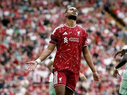 Gakpo Sudah Setuju Gabung Tottenham?