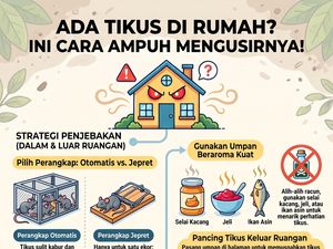 Infografis: Setiap Malam Tikus Bikin Bising di Rumah? Begini Cara Usirnya