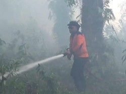 Jatuh Bangun Relawan Karhutla Padamkan Api di Kotim