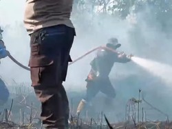 Karhutla di Kobar Meluas, 622 Hektare Lahan Hangus Terbakar
