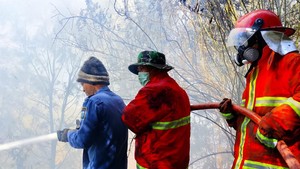Hari Ke-12 Karhutla Bromo: Titik Api Nihil, 8 Hotspot Didinginkan