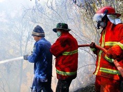 Hari Ke-12 Karhutla Bromo: Titik Api Nihil, 8 Hotspot Didinginkan