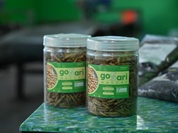 Dari Sampah Jadi Penghasilan, GO-SARI Gerakkan Ekonomi Sirkular Warga Bantul
