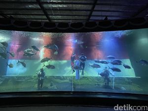 Kibaran Merah Putih Raksasa di Bawah Air Pangandaran