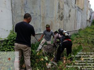 Duh! Siberian Husky Nyemplung Sumur 10 Meter gegara Ngejar Kucing di Sleman
