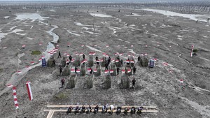 Ekspedisi Merah Putih Polda Riau Pulihkan 1.200 Ha Pesisir Inhil yang Terdampak Abrasi