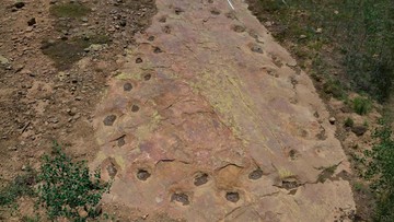 Image property of Detik Jejak Kaki Dinosaurus 150 Juta Tahun Ungkap Dugaan Berjalan Pincang