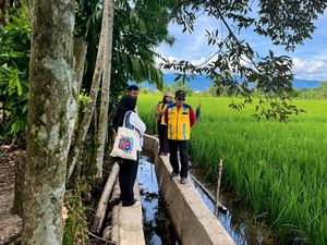 Musim Tanam Tiba, Nagan Raya Manfaatkan Dana TKD untuk Rehabilitasi Sawah