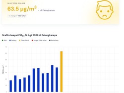 Kualitas Udara di Palangka Raya Kategori Tidak Sehat Karena Asap Karhutla