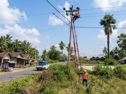 PLN Pulihkan Listrik Pascagempa Flores, 11 Gardu Induk Berangsur Pulih