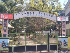Sekolah di Labuan Bajo Diliburkan Akibat Gempa NTT