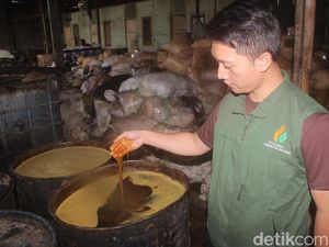 Mendulang Rupiah dari Keruhnya Minyak Jelantah