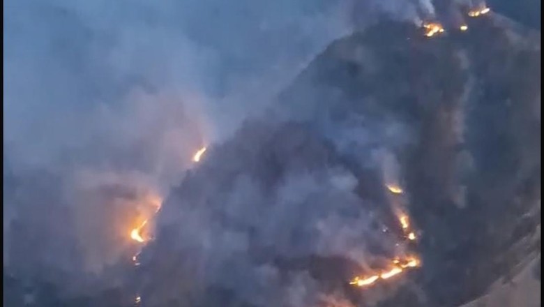 5 Fakta Karhutla di Gunung Nona Enrekang Hanguskan 10 Hektare Hutan Pinus