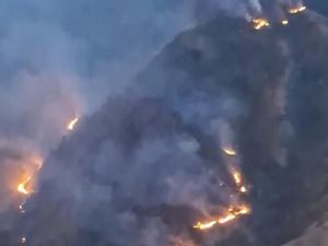 5 Fakta Karhutla di Gunung Nona Enrekang Hanguskan 10 Hektare Hutan Pinus