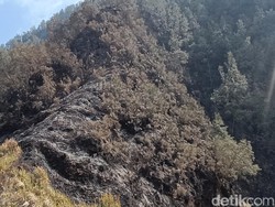 Total Luas Lahan Bromo yang Terbakar 1.120 Hektare, Kebakaran Terkendali