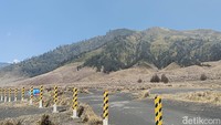 1.120 Hektare Lahan di Bromo Hangus Terbakar, Api Kini Terkendali