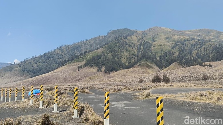 1.120 Hektare Lahan di Bromo Hangus Terbakar, Api Kini Terkendali