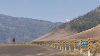 Kondisi Terkini Kawasan Bromo Setelah Kebakaran Hutan dan Lahan
