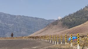 Kondisi Terkini Kawasan Bromo Setelah Kebakaran Hutan dan Lahan