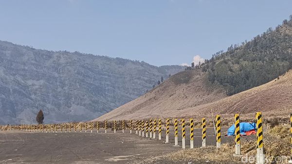Kondisi Terkini Kawasan Bromo Setelah Kebakaran Hutan dan Lahan