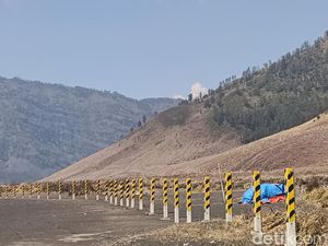 Kondisi Terkini Kawasan Bromo Setelah Kebakaran Hutan dan Lahan