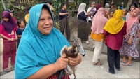 Potret Keseruan Lomba Tangkap Bebek saat HUT ke-81 RI di Lamongan