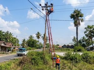 11 Gardu Induk Terdampak Gempa di NTT Mulai Pulih