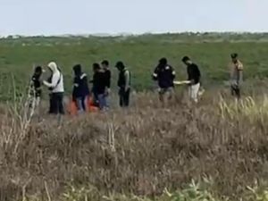 Kronologi Petani di Mesuji Dibunuh, Lalu Pelaku Ditemukan Tewas Ditembak