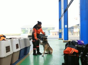 Mabes Polri Turunkan K9 dan 2,5 Ton Logistik ke Lokasi Gempa NTT