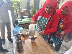 Warga Sidoarjo Adu Racik Teh Kumis Kucing Sambut HUT RI, Ini Manfaatnya