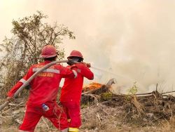 Manggala Agni Padamkan Karhutla Hampir 100 Hektare di 4 Wilayah Sumsel