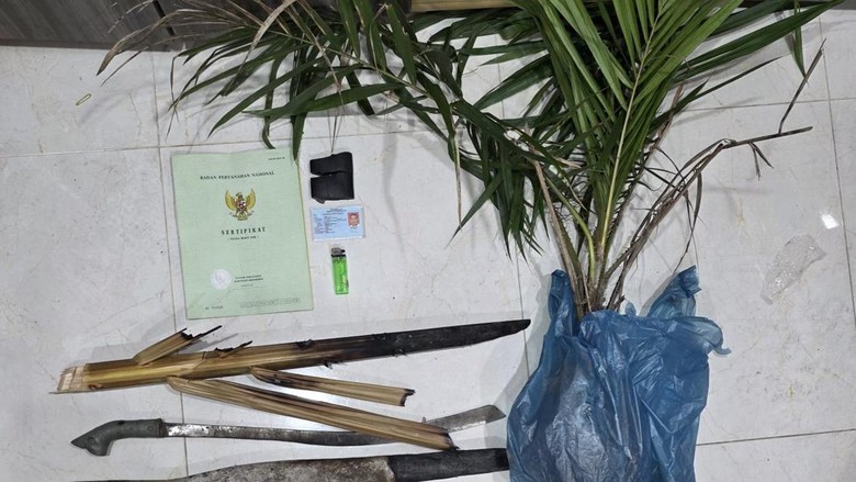Polisi Tangkap Pembakar Lahan di Bengkalis, Mancis-Bibit Sawit Jadi Bukti