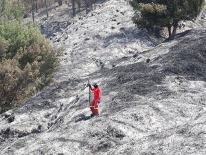 Video: Raja Juli Umumkan Kawasan Bromo akan Dibuka Lagi 20 Agustus 2026